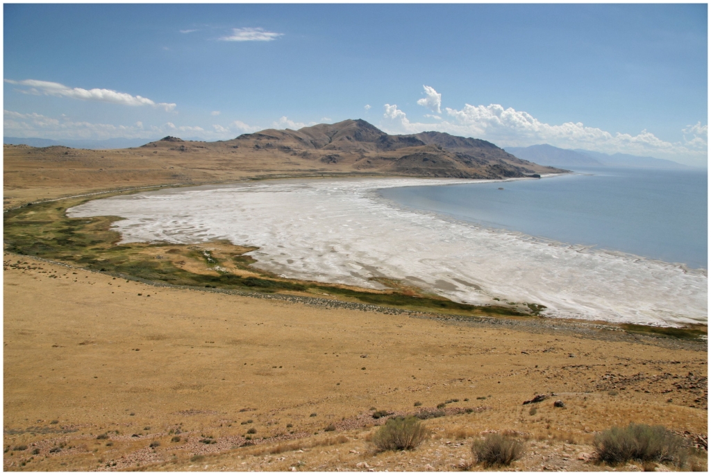 02 - Antelope Insland SP (2) - Grand Lac Salé.jpg